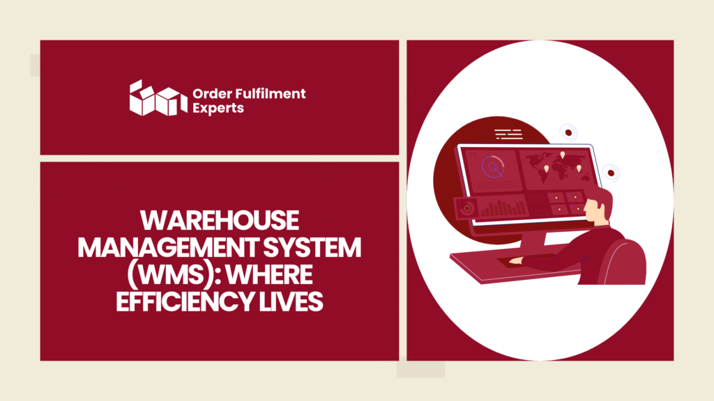 Warehouse Management System (WMS): Where Efficiency Lives