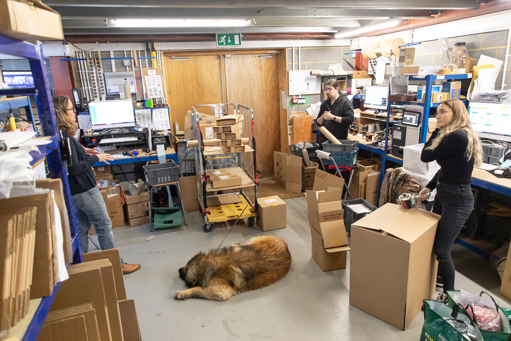The OFEX team at work on the packing floor, with the warehouse dog keeping watch